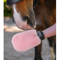 Gant de pansage Waldhausen peau d'agneau Lucky Rose