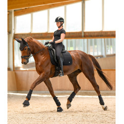 Guêtres de dressage Waldhausen Air Performance Noir