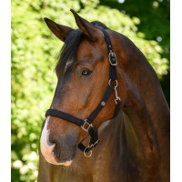 Licol Waldhausen Trinidad Noir