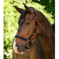 Licol Waldhausen Trinidad Noir