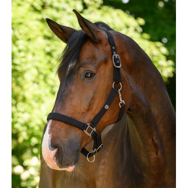 Licol Waldhausen Trinidad Noir
