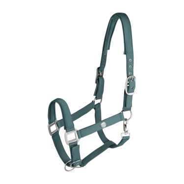 Licol Waldhausen Trinidad Vert pin