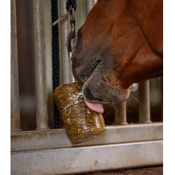Pierre à lécher Waldhausen aux herbes StableSnack