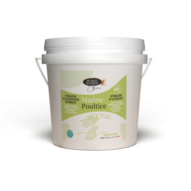 Argile Marine Poultice Horse Master