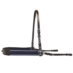 Bricole élastique Canter