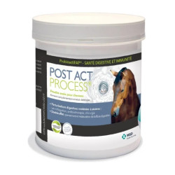 Post Act Process MSD