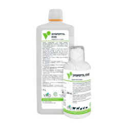 Dyspeptil Evo Biove