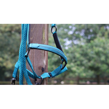 Longe d'attache Lami-Cell Charming