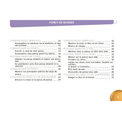 Livre En selle vers les poneys de bronze d'argent et d'or Lavauzelle