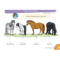 Livre En selle vers les poneys de bronze d'argent et d'or Lavauzelle