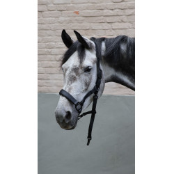 Licol Lami-Cell Flexicare Noir