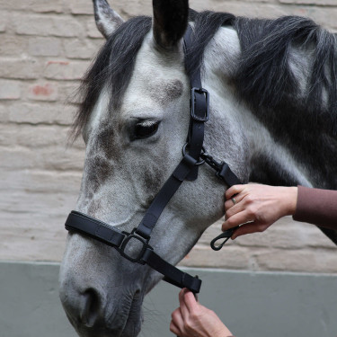 Licol Lami-Cell Flexicare Noir