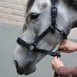 Licol Lami-Cell Flexicare Noir