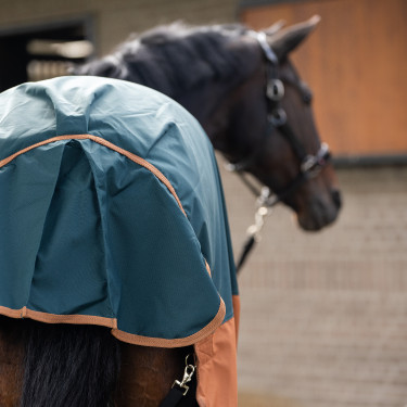Couverture d'extérieur Imperial Riding Customized 400g avec cou Vert foncé / fox