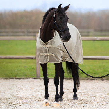 Couverture anti-mouches couvre-cou amovible Imperial Riding Reese Olive clair