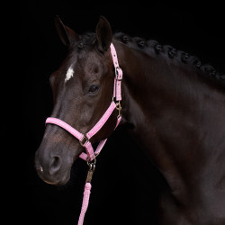 Licol HV Polo Nena Jolie rose Licol HV Polo Nena Jolie rose
