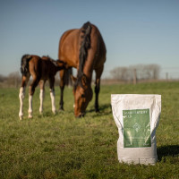 Fertilité Jument Plus Grooming Deluxe by Kentucky