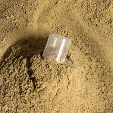 Soutien Gastro Sport Grooming Deluxe by Kentucky