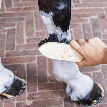 Brosse Classic en bois courte dure Grooming Deluxe by Kentucky