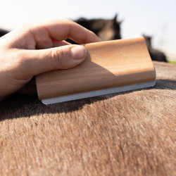 Brosse de mue Easy Grooming Grooming Deluxe by Kentucky