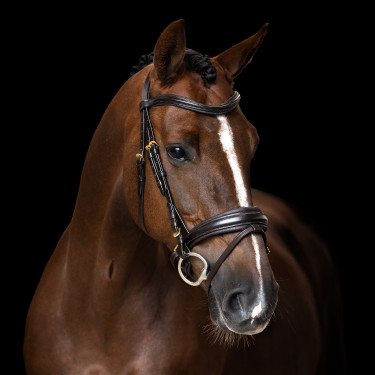 Bridon anglais Imperial Riding combinée Sleek Marron