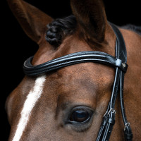 Bridon anglais Imperial Riding combinée Sleek Marron