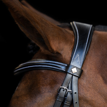 Bridon Imperial Riding avec muserolle anglaise courbée Noir