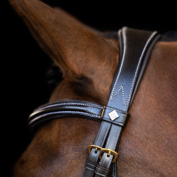 Bridon Imperial Riding avec muserolle anglaise courbée Marron