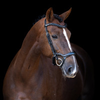 Bridon Imperial Riding avec muserolle combinée ergonomique basse Noir