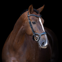 Bridon Imperial Riding avec muserolle combinée ergonomique basse Noir