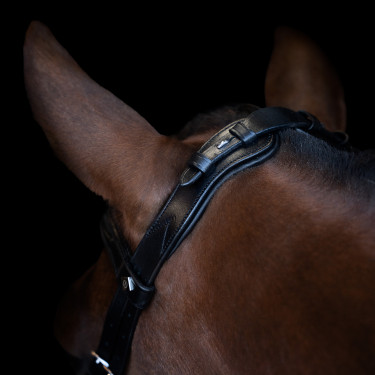 Bridon Imperial Riding avec muserolle combinée ergonomique basse Noir