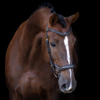 Bridon Imperial Riding avec muserolle combinée ergonomique basse Marron