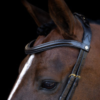 Bridon Imperial Riding avec muserolle combinée ergonomique basse Noir Bridon Imperial Riding avec muserolle combinée ergonomique basse Noir