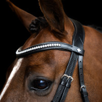 Bridon Imperial Riding combinée simple Marron