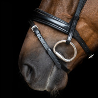 Bridon Imperial Riding combinée simple Marron
