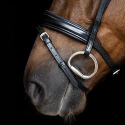 Bridon Imperial Riding combinée simple Noir