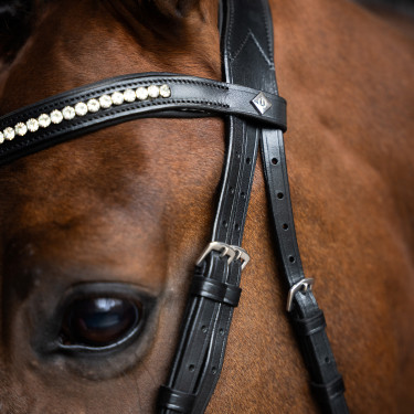 Bridon Imperial Riding combinée simple Noir