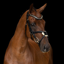 Bridon muserolle mexicaine Imperial Riding Noir