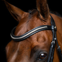 Bridon muserolle mexicaine Imperial Riding Noir