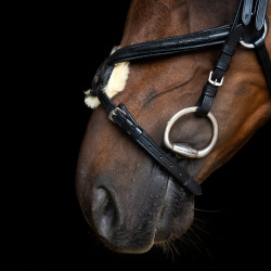 Bridon muserolle mexicaine Imperial Riding Noir