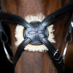 Bridon muserolle mexicaine Imperial Riding Noir