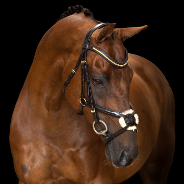 Bridon muserolle mexicaine Imperial Riding Marron foncé Bridon muserolle mexicaine Imperial Riding Marron foncé