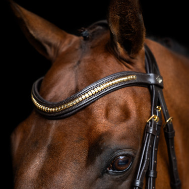 Bridon muserolle mexicaine Imperial Riding Marron foncé Bridon muserolle mexicaine Imperial Riding Marron foncé