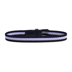 Ceinture Imperial Riding Kids Glycine Violet