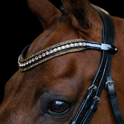 Frontal Imperial Riding Maxima Marron