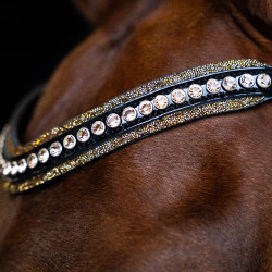 Frontal Imperial Riding Maxima Marron
