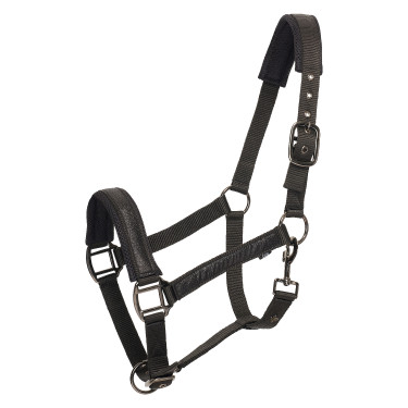 Licol HV Polo Katy Noir Licol HV Polo Katy Noir