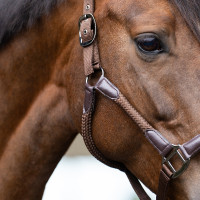 Licol Imperial Riding Laura Chocolat Marron