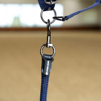Longe d'attache Imperial Riding Laura Noir