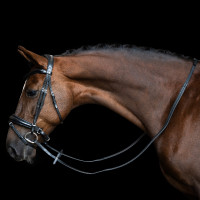 Rênes Imperial Riding en caoutchouc avec renfort en nylon